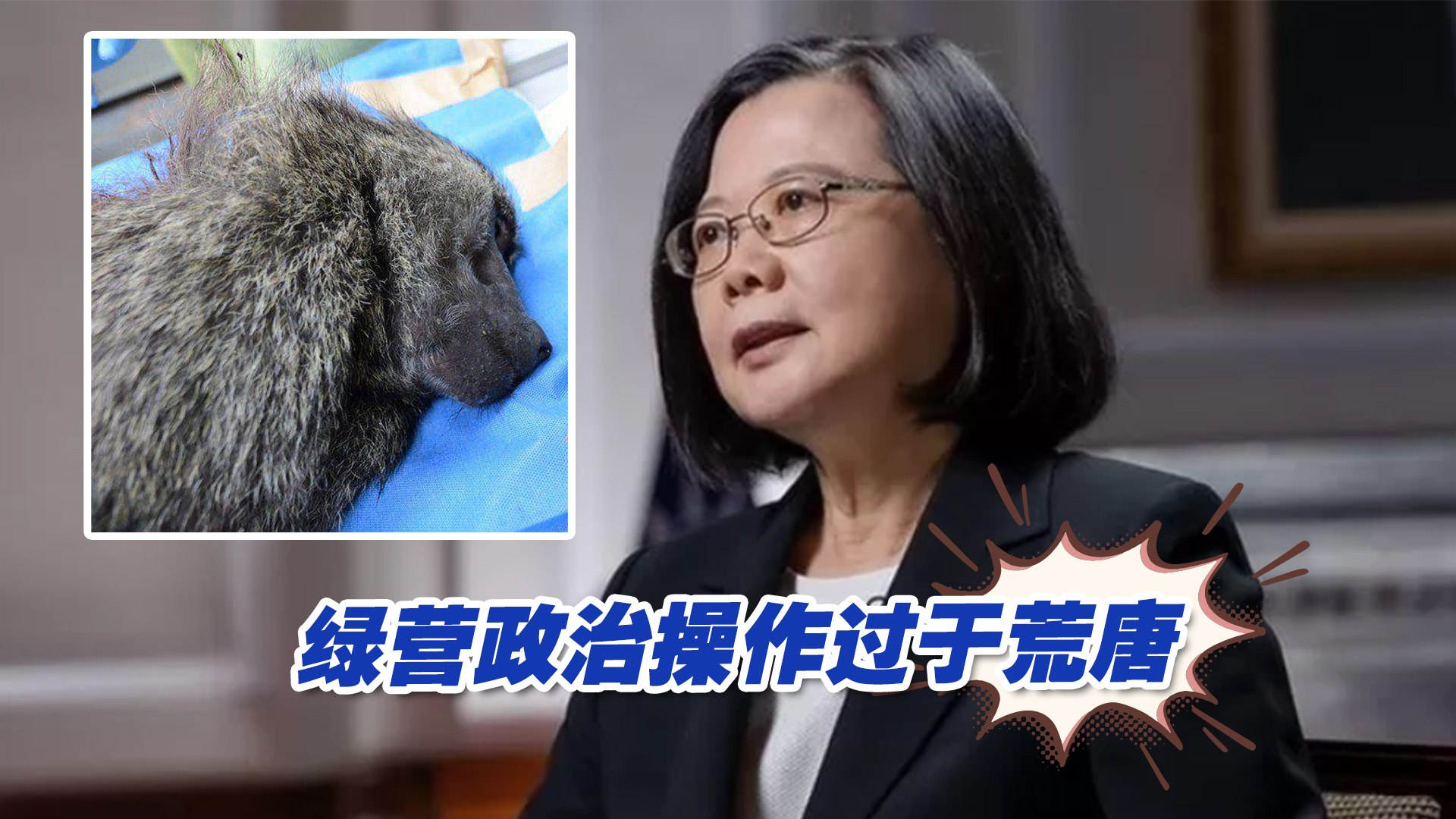 [图]台湾一狒狒被射杀，竟多天占据岛内头条？绿营政治操作过于荒唐