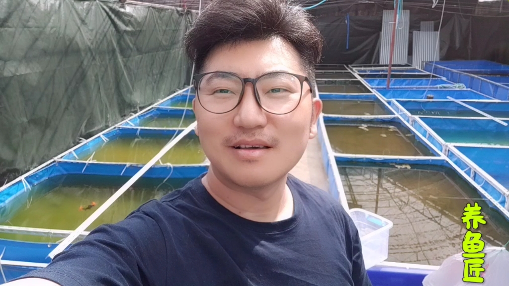 金鱼春季为何总爱生病?把这两件事情做好,这个春天坐等收获鱼苗