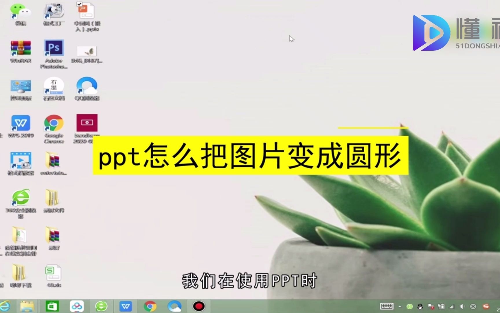 ppt怎么把图片变成圆形?ppt把图片变成圆形哔哩哔哩bilibili