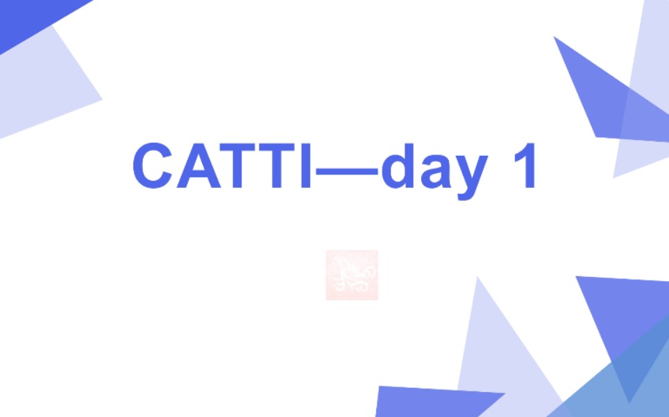 CATTI翻译资格证二级笔译DAY1英译汉哔哩哔哩bilibili