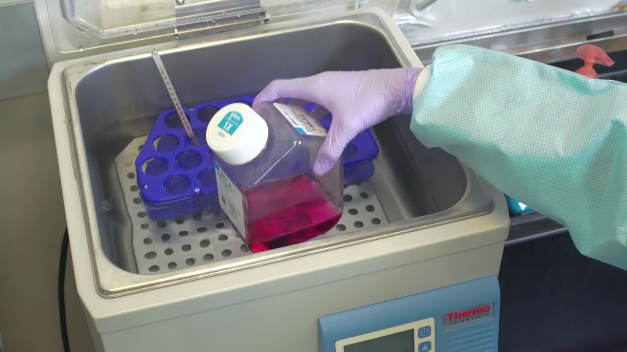 实验操作_细胞复苏