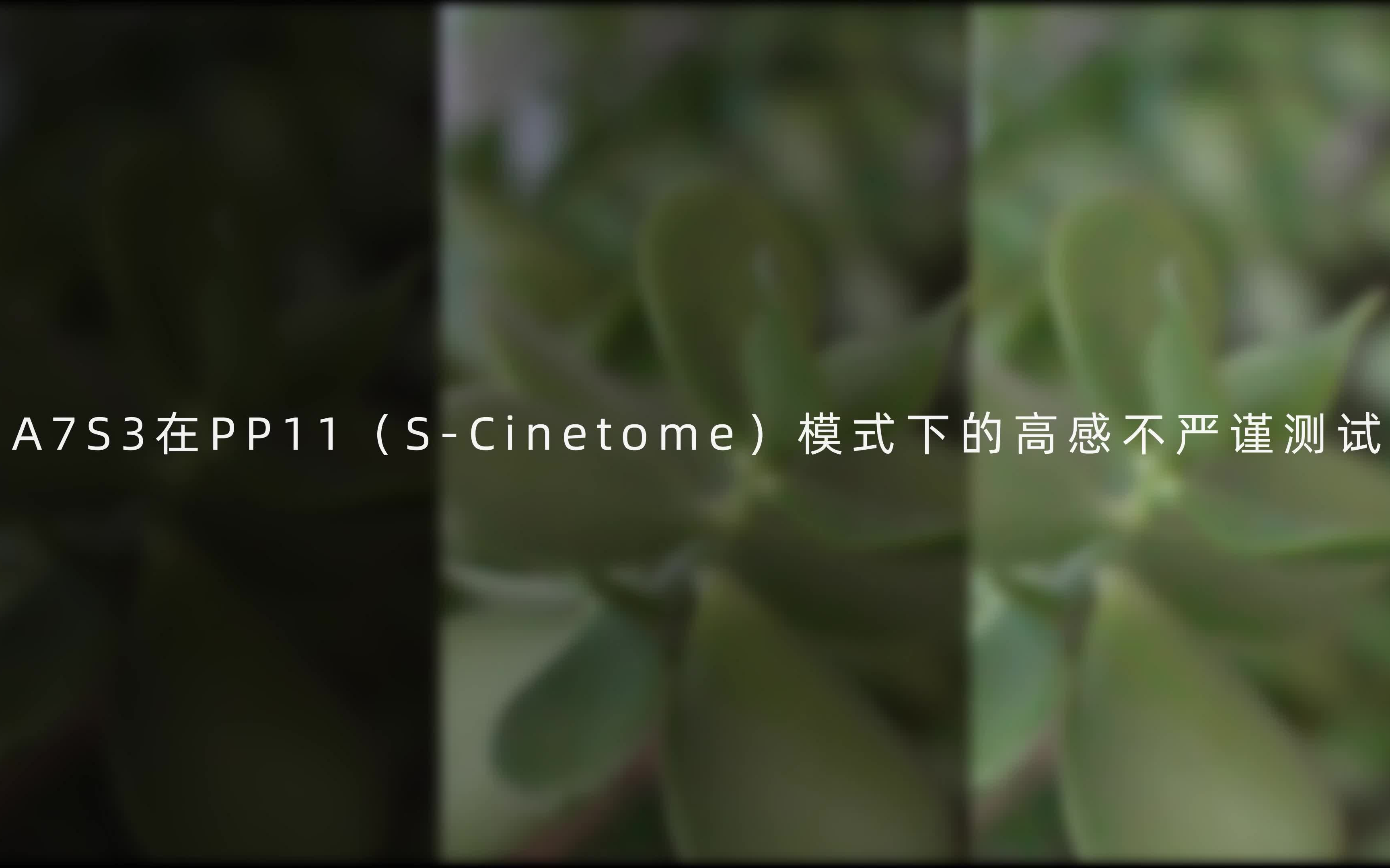 A7s3 在 SCinetone 下的高感测试哔哩哔哩bilibili