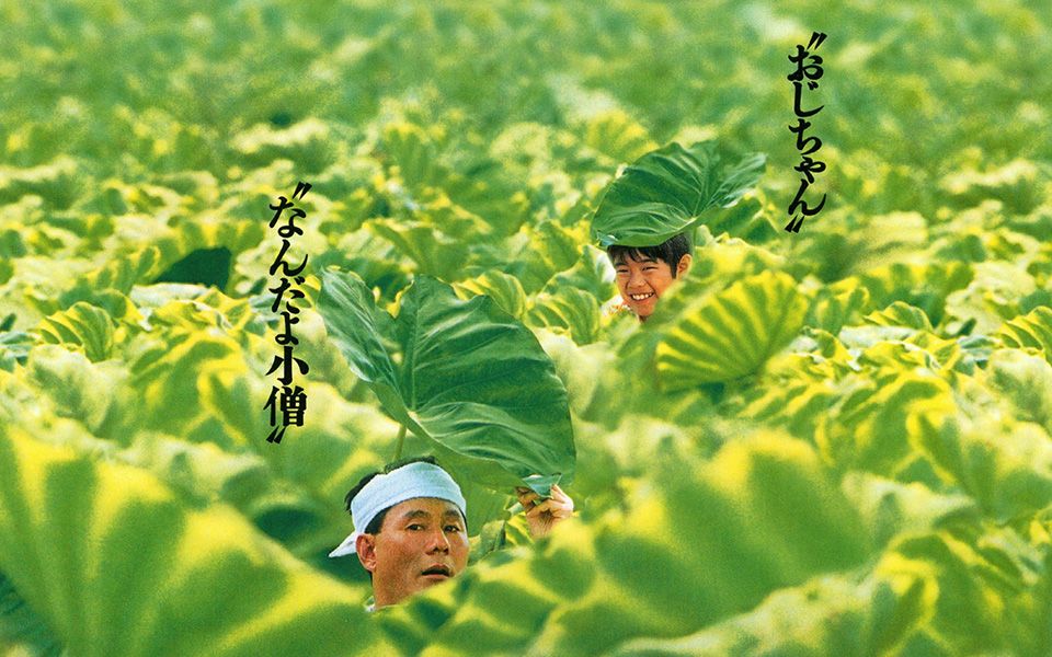 北野武久石让菊次郎的夏天大叔才是菊次郎大叔才是主角应该是大叔的