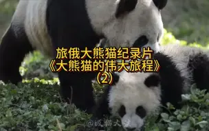 旅俄大熊猫如意和丁丁的纪录片《大熊猫的伟大旅程》（2）：野化放归培训。主要介绍了野化放归培训的步骤、意义和成效，博斯携幼崽惊喜出镜呦～