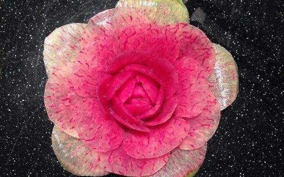 食品雕刻过程 月季花 附详细解说过程