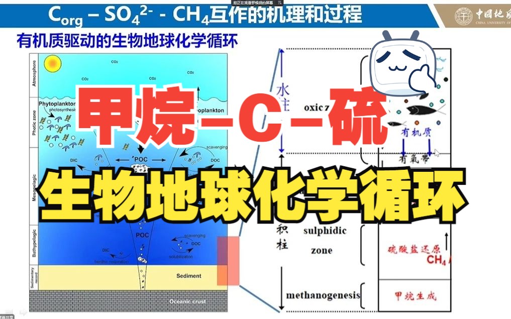 产甲烷+硫酸盐还原+有机质→循环互作=PNAS哔哩哔哩bilibili