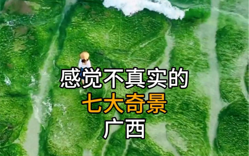 感觉不真实的七大奇景广西1、崇左太平古城2、德天瀑布3、广西龙脊梯田4、涠洲岛5、石林城堡6、月亮山7、乐业天坑哔哩哔哩bilibili