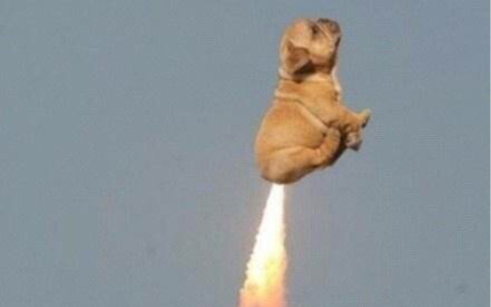 明日之后,真.火烧屁股