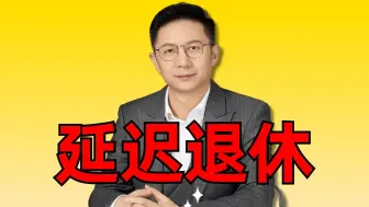 Download Video: 延迟退休对考公人意味着什么？