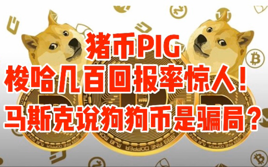 豬幣pig梭哈幾百回報率驚人馬斯克說狗狗幣就是騙局