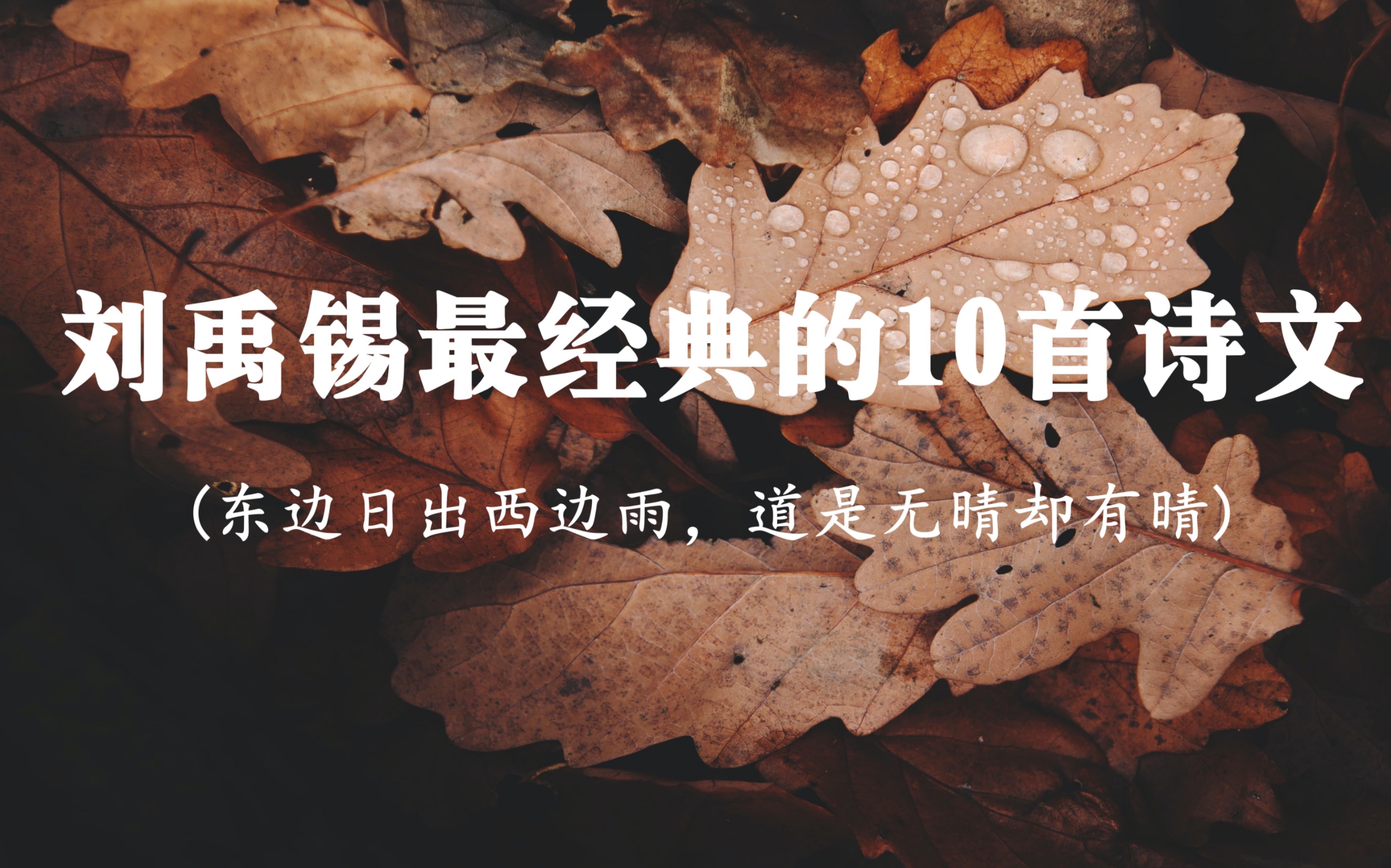 “东边日出西边雨,道是无晴却有晴”|刘禹锡最经典的10首诗文读懂受益一生哔哩哔哩bilibili