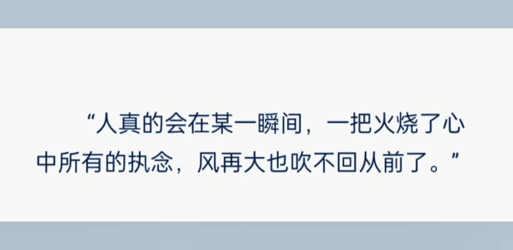 人真的會在某一瞬間,一把火燒了心中所有的執念,風再大也吹不回從前了