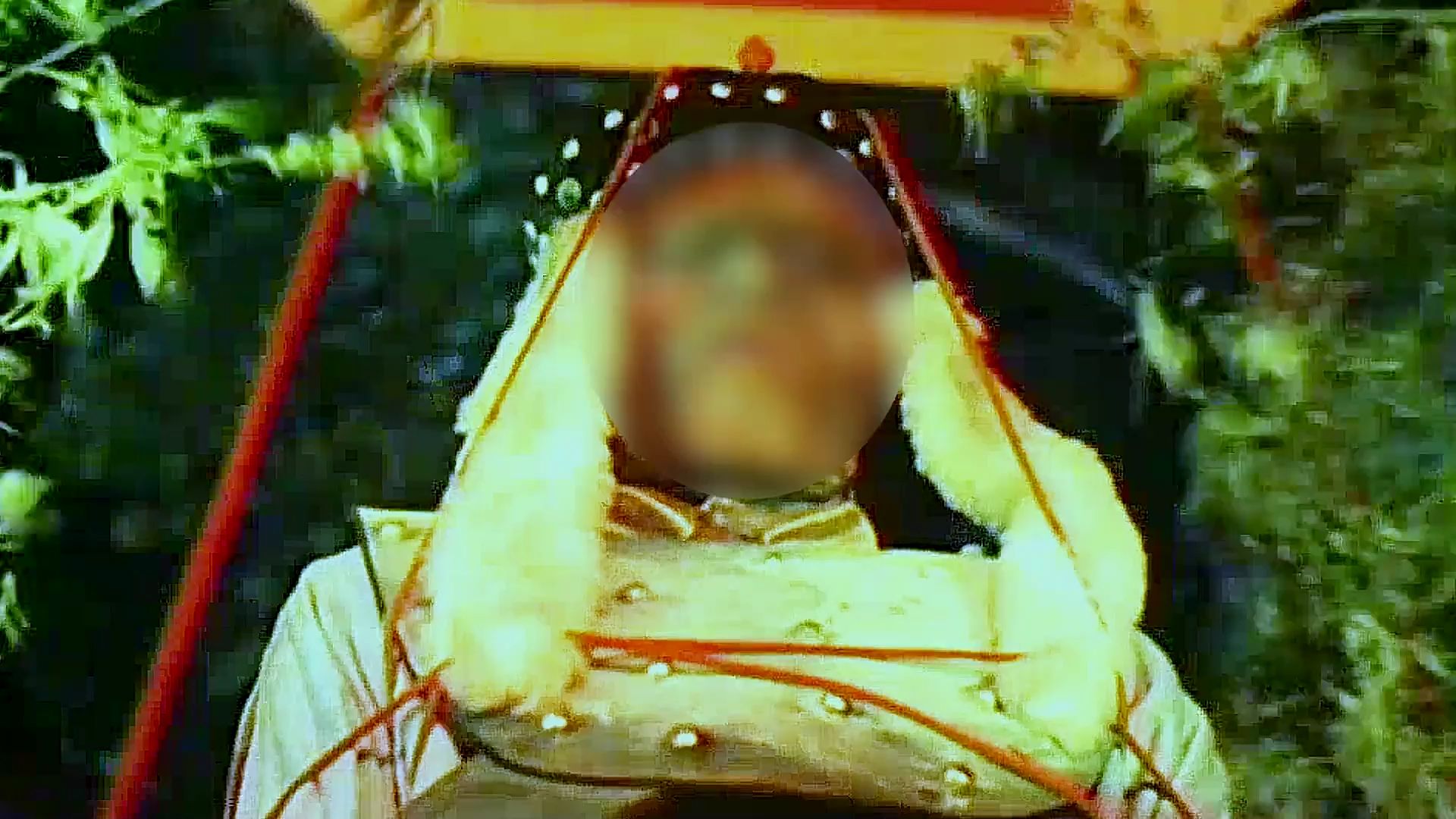 西双版纳铜甲尸 B站