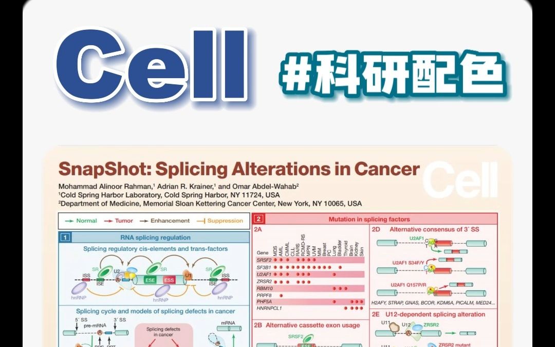 弗雷赛斯 | 科研配色来啦!来看看《Cell》喜爱的颜色搭配吧~颜色搭配千千万,不如一起学顶刊~哔哩哔哩bilibili