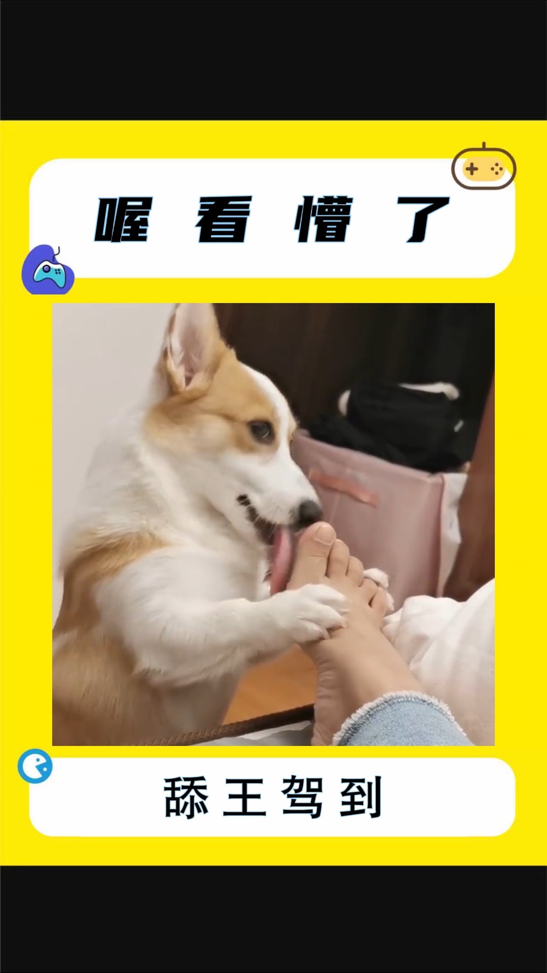 这舔王操作,让我根本猜不到结局哔哩哔哩bilibili