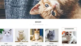 Python爬虫实战教程：对某猫咪交易网数据进行抓取，分析大家都喜欢那种猫咪！