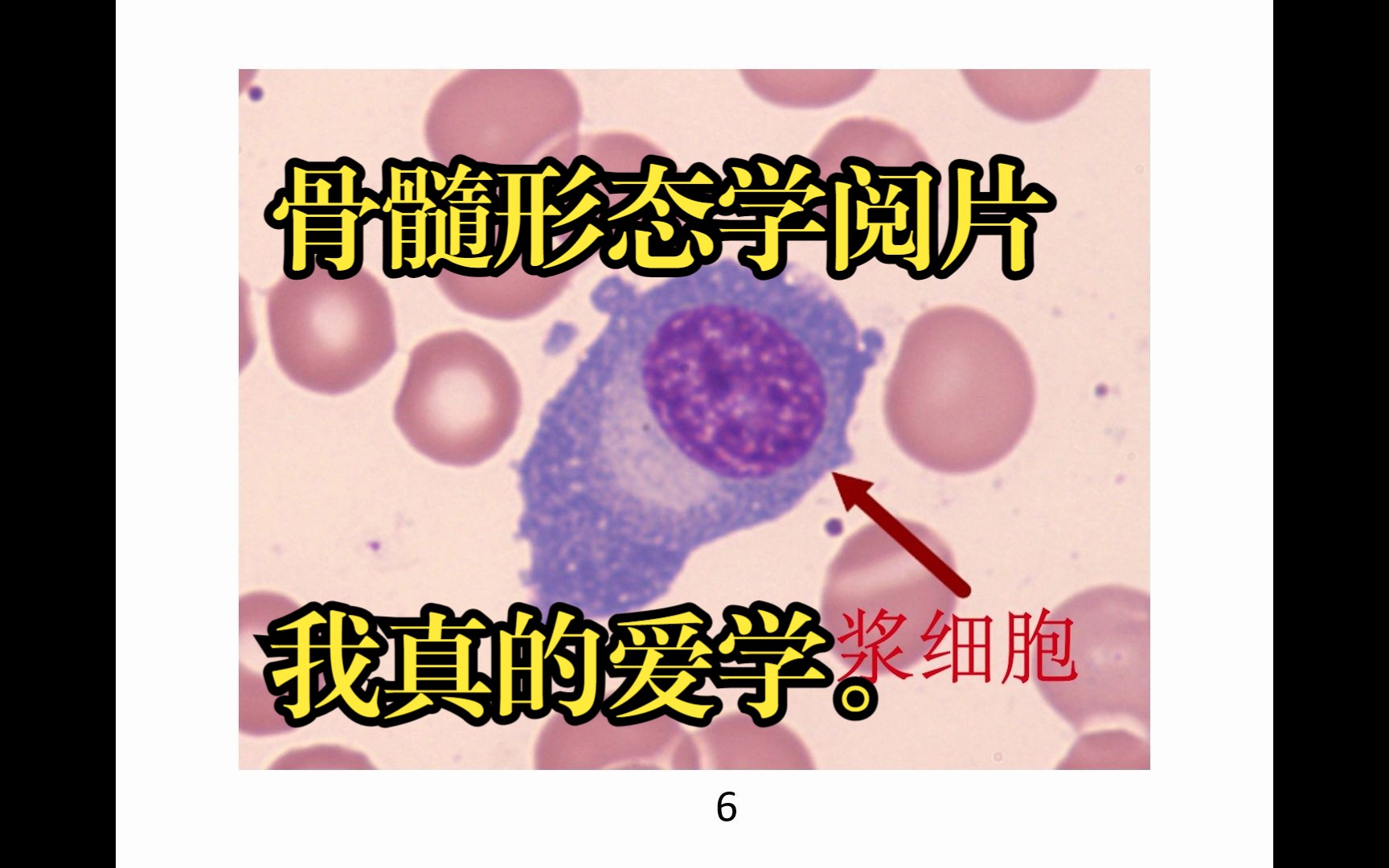 [图]考前模拟：临床血液学检验技术-骨髓形态学阅片