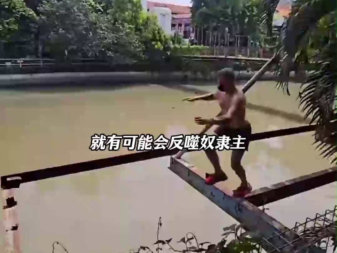 0811-当奴隶主破产后，她们都想包养我？-测新-xjx (2)