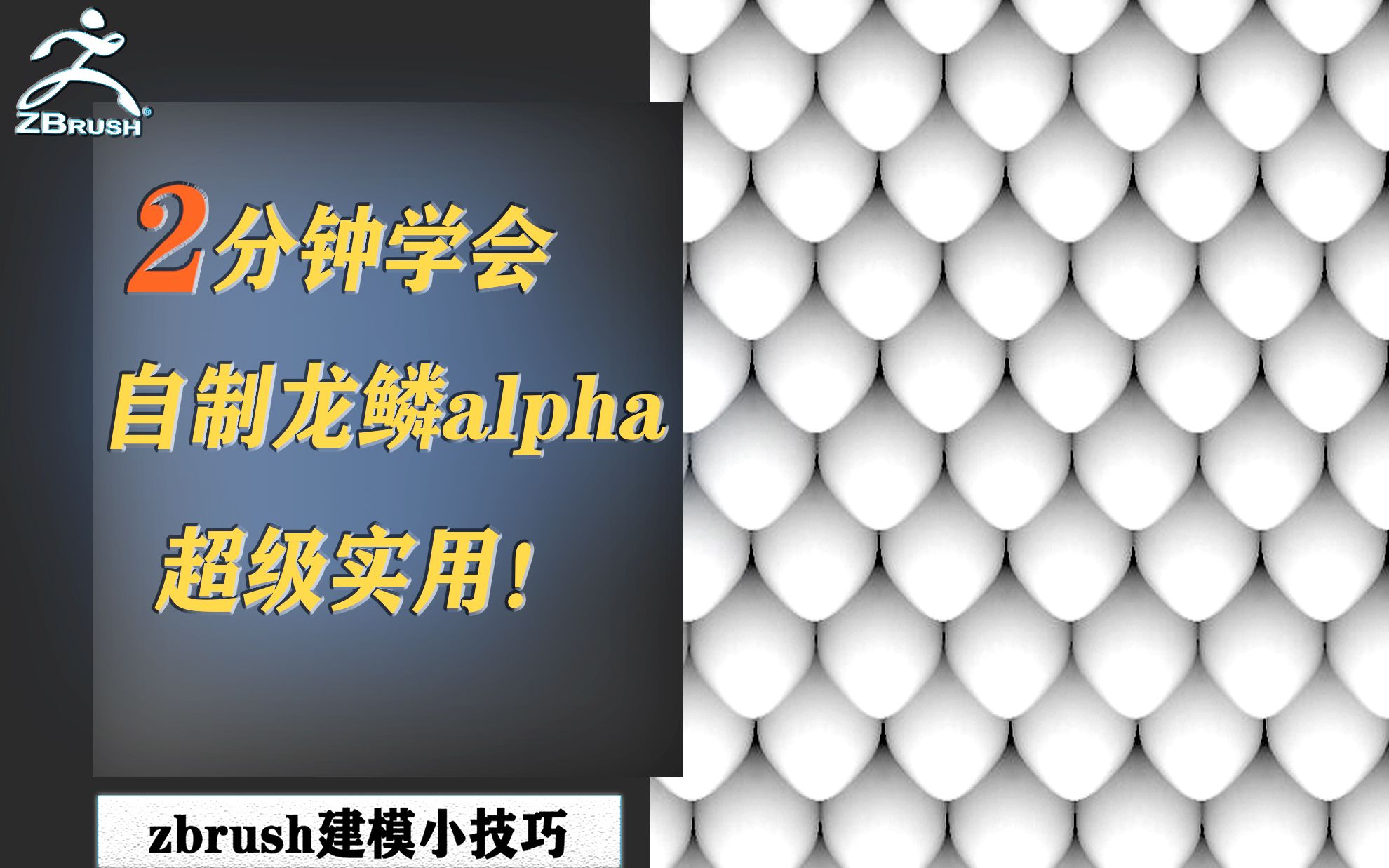 【zbrush小技巧】2分钟龙鳞alpha的制作.