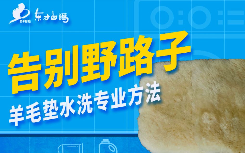 羊毛坐垫水洗方法哔哩哔哩bilibili