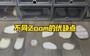 Download Video: 聊聊不同zoom的差异