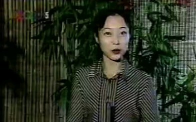 【老录像视频】2001年 陕西电视台五套《三秦书画》 节目(不完整)哔哩哔哩bilibili