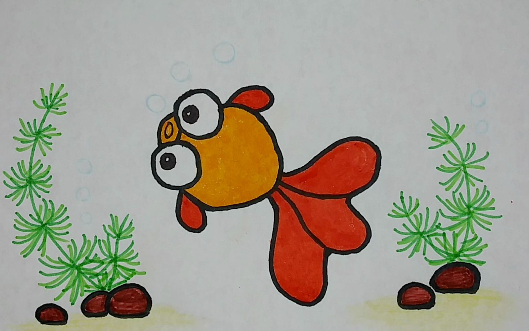 儿童简笔画金鱼图片