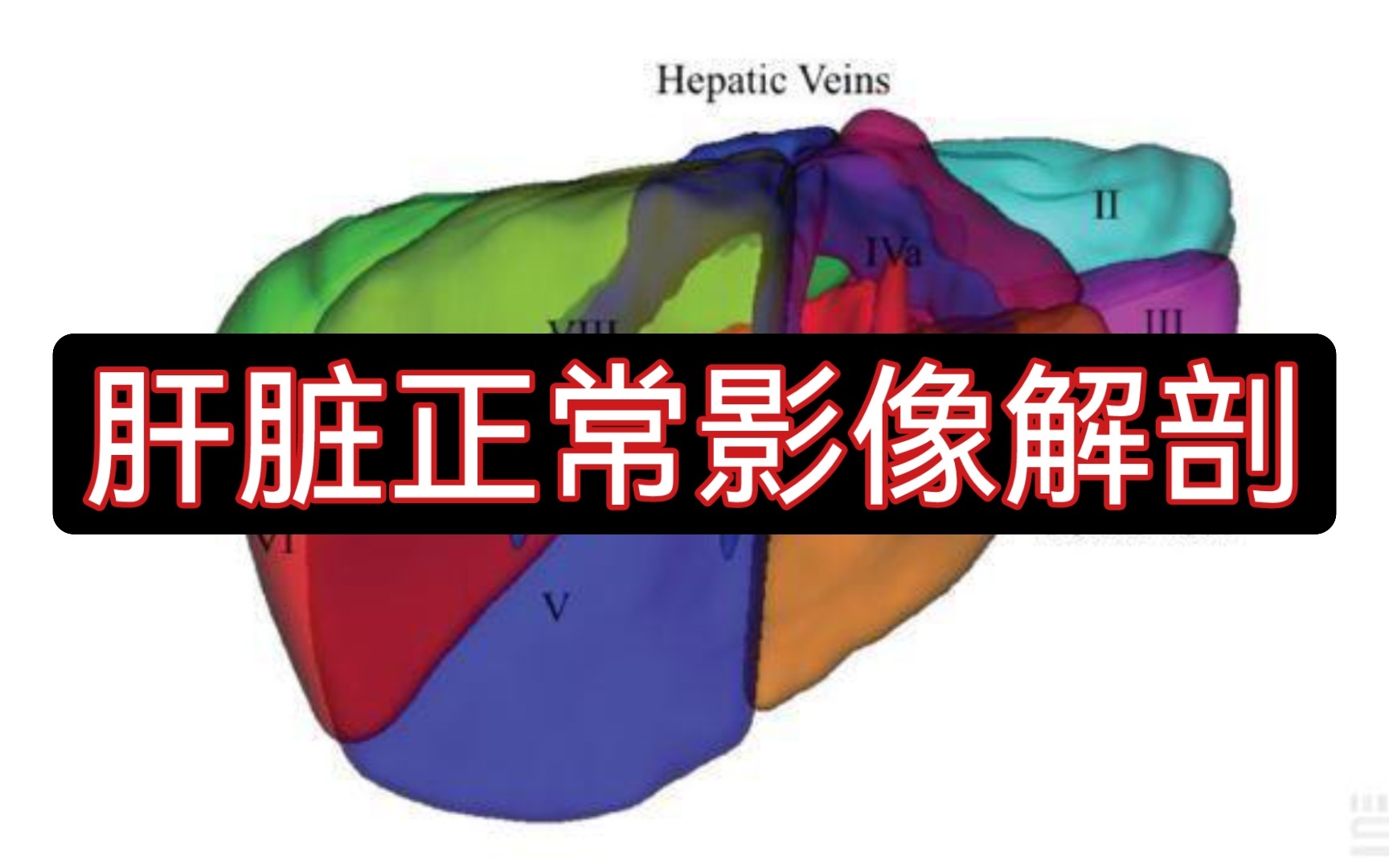 [图]【医学影像】跟我一起刷专著 | 肝脏正常影像解剖