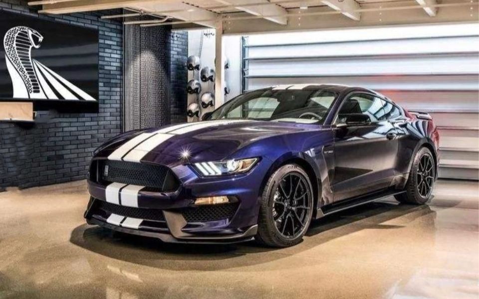 美国实拍谢尔比眼镜蛇gt350售价相当于国内一台23tmustang的价格