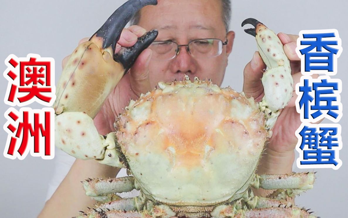 顶级海鲜 超级稀有【澳洲香槟蟹】目前无法人工养殖