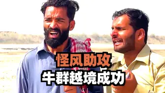 扮成可爱牛牛的两人，竟在边境搞大事《第一集》