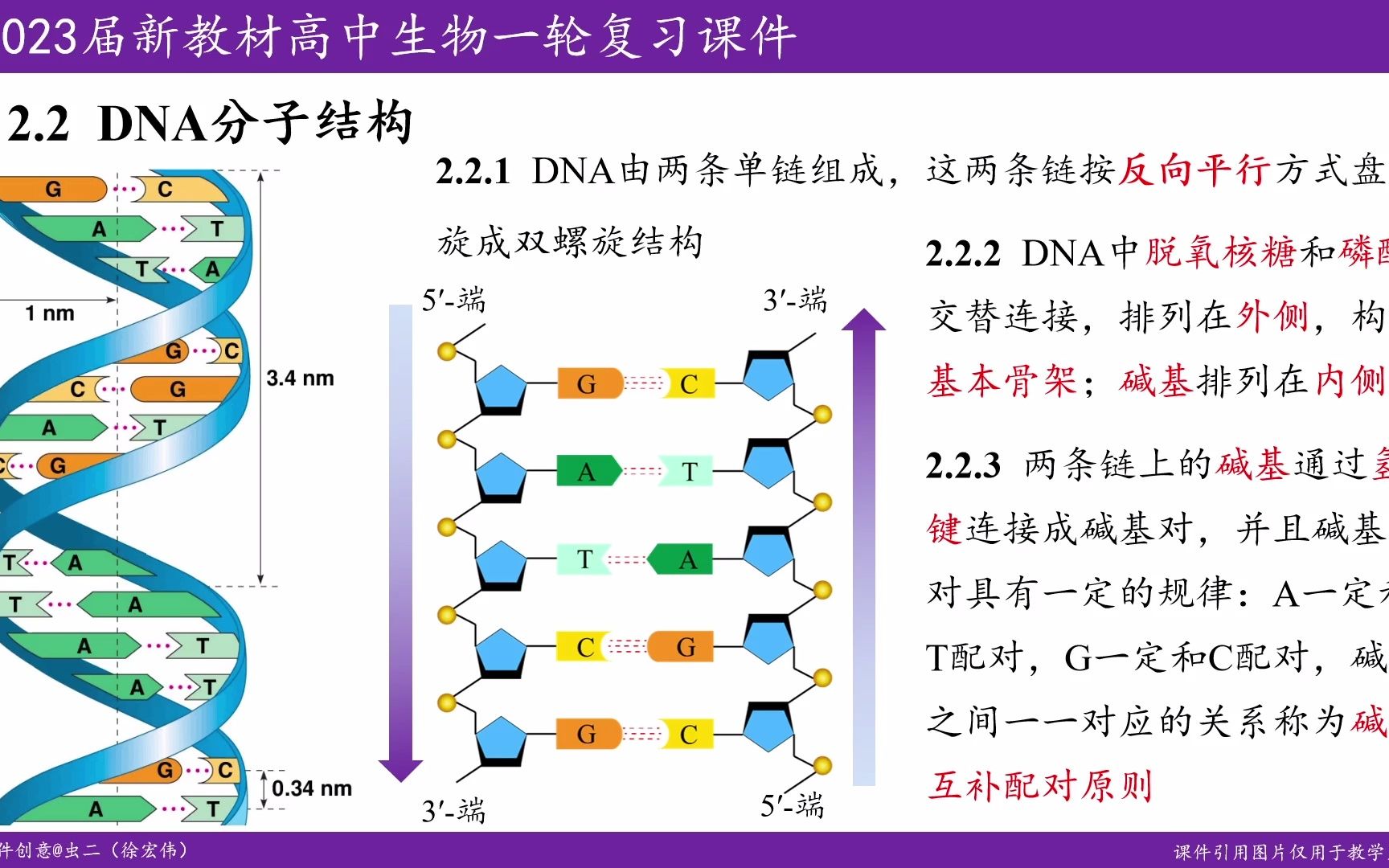 第16讲(2)遗传信息编码在DNA分子上哔哩哔哩bilibili