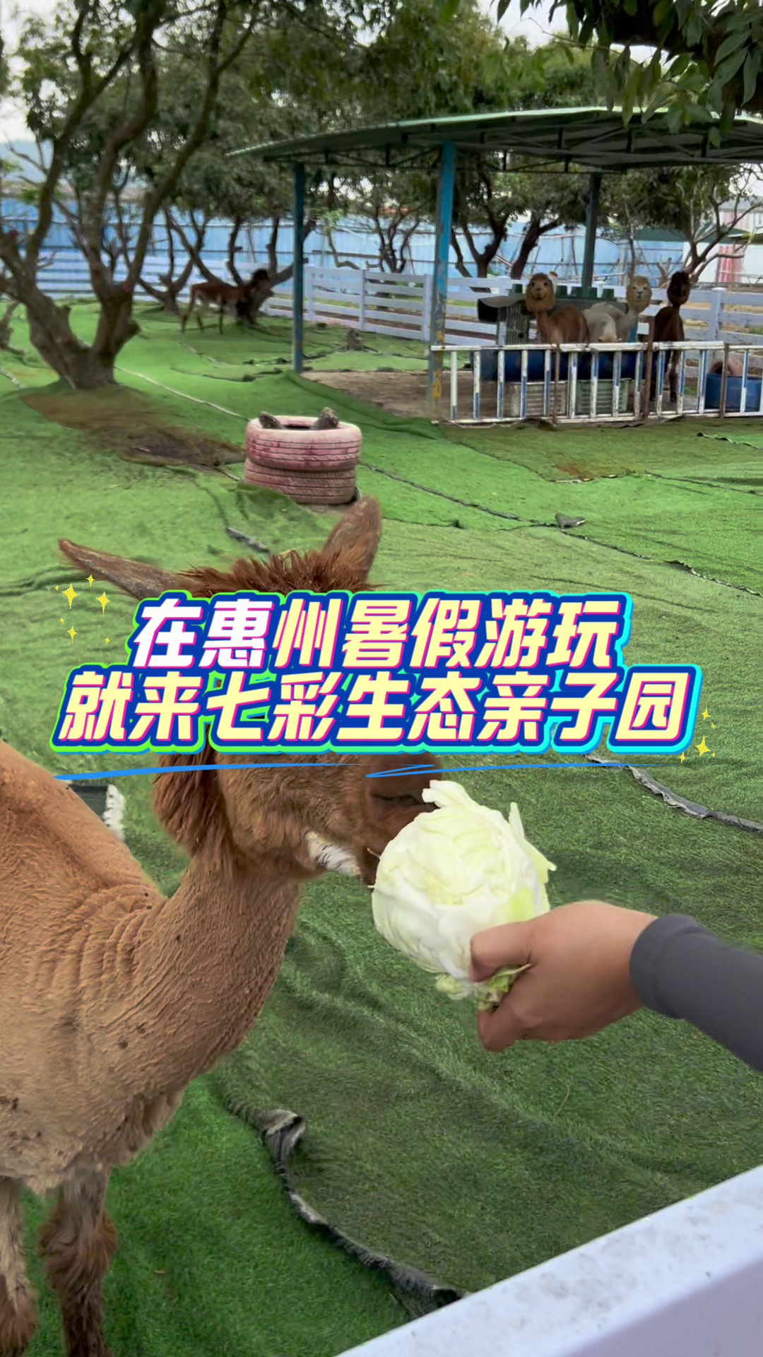 惠州七彩生态亲子园,值得一游的亲子乐园!