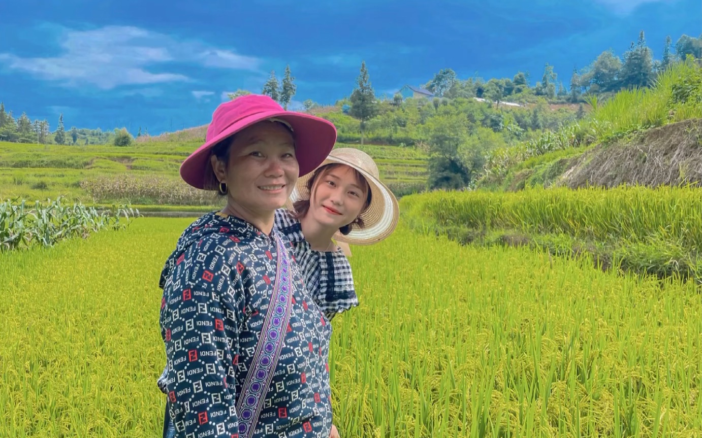 越南小黄,今天为我的小猪做一个漂亮的家