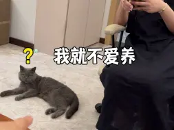 Descargar video: 指 猫 骂 猩