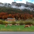 瑞士 列车窗外的绝美秋景 Interlaken 到 Grindelwald