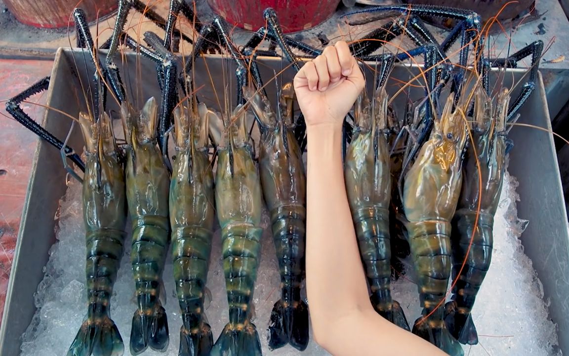 泰国手臂大的龙虾你吃过吗?