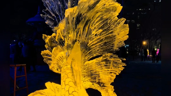 哈尔滨兆麟公园的冰雕,免费免费,巧夺天工的冰雕让人流连忘返