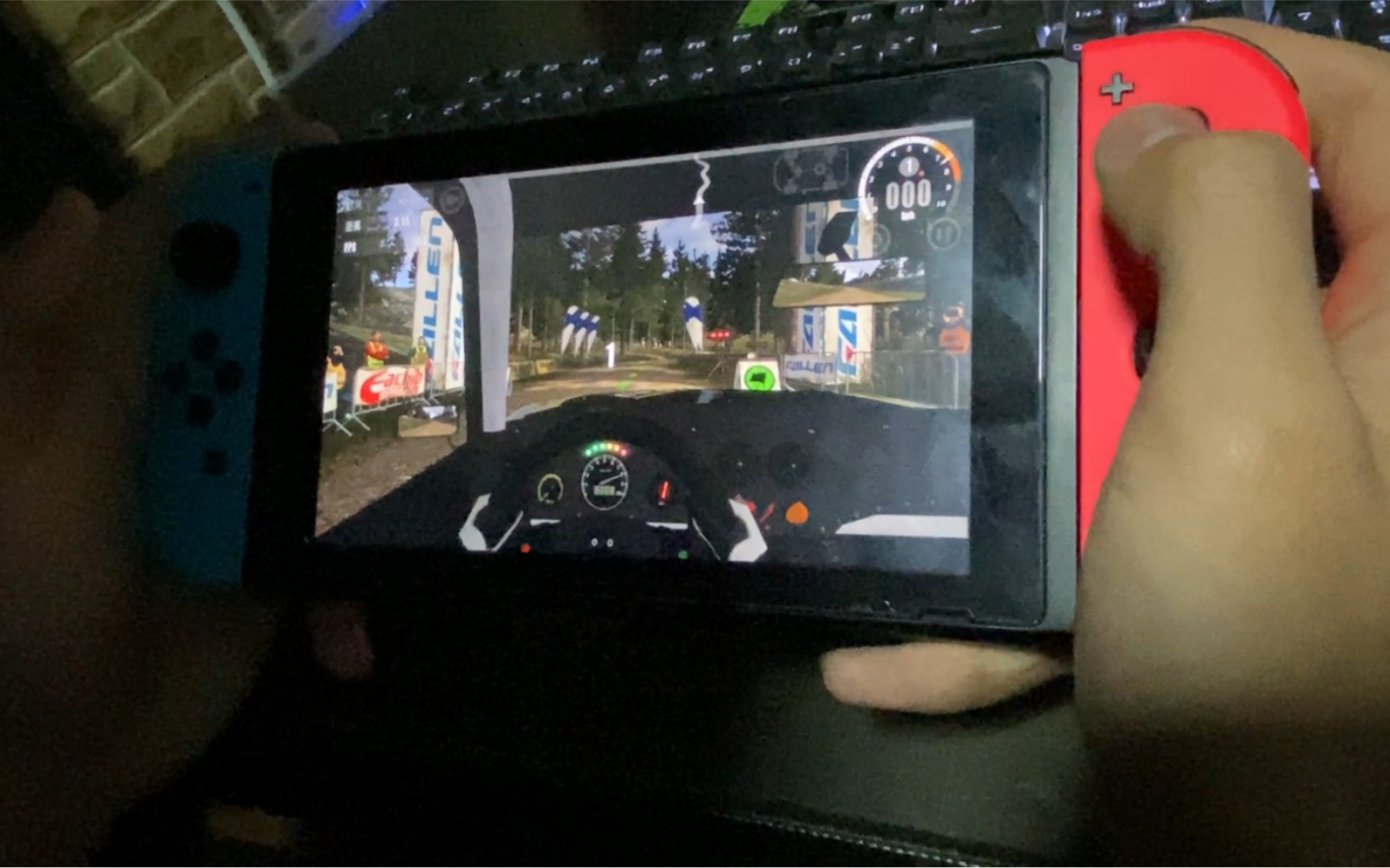 [图]Switch—拉力竞速3（Rush Rally3）