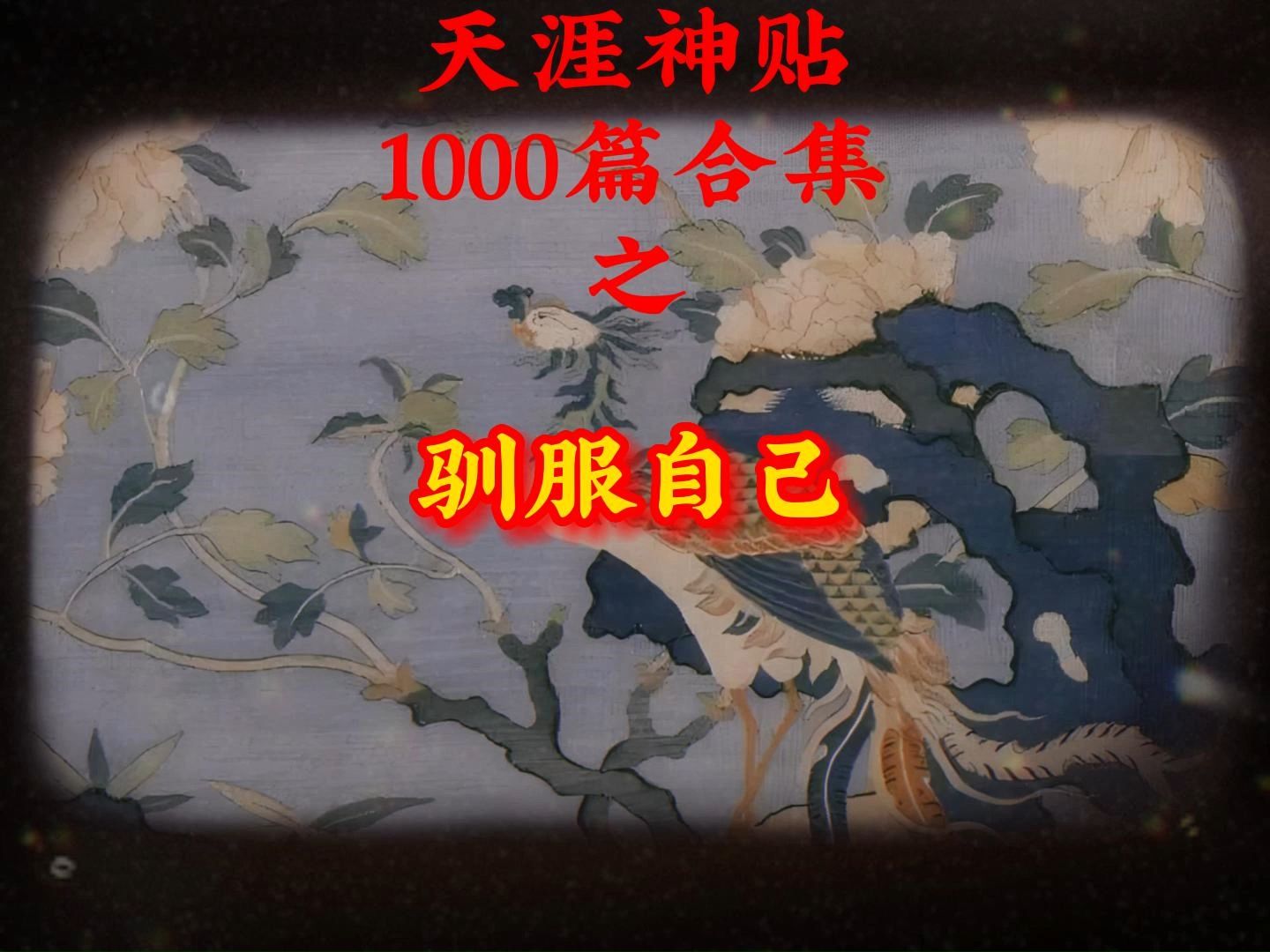 天涯神贴1000篇合集之驯服自己哔哩哔哩bilibili