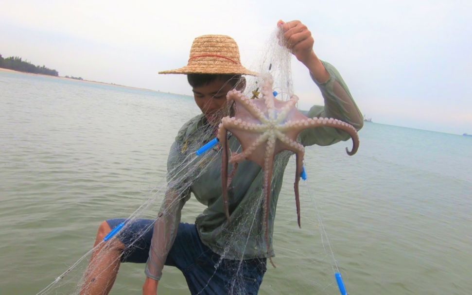 小伙出海放渔网抓到的章鱼有脸盆大上岸就被游客买了