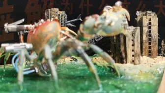 道理我都懂，可是螃蟹为什么这————么大？