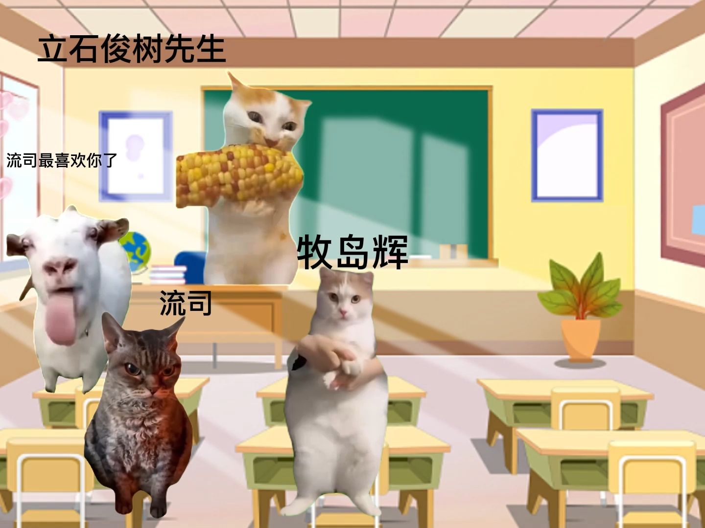 2.5次元猫meme系列哔哩哔哩bilibili