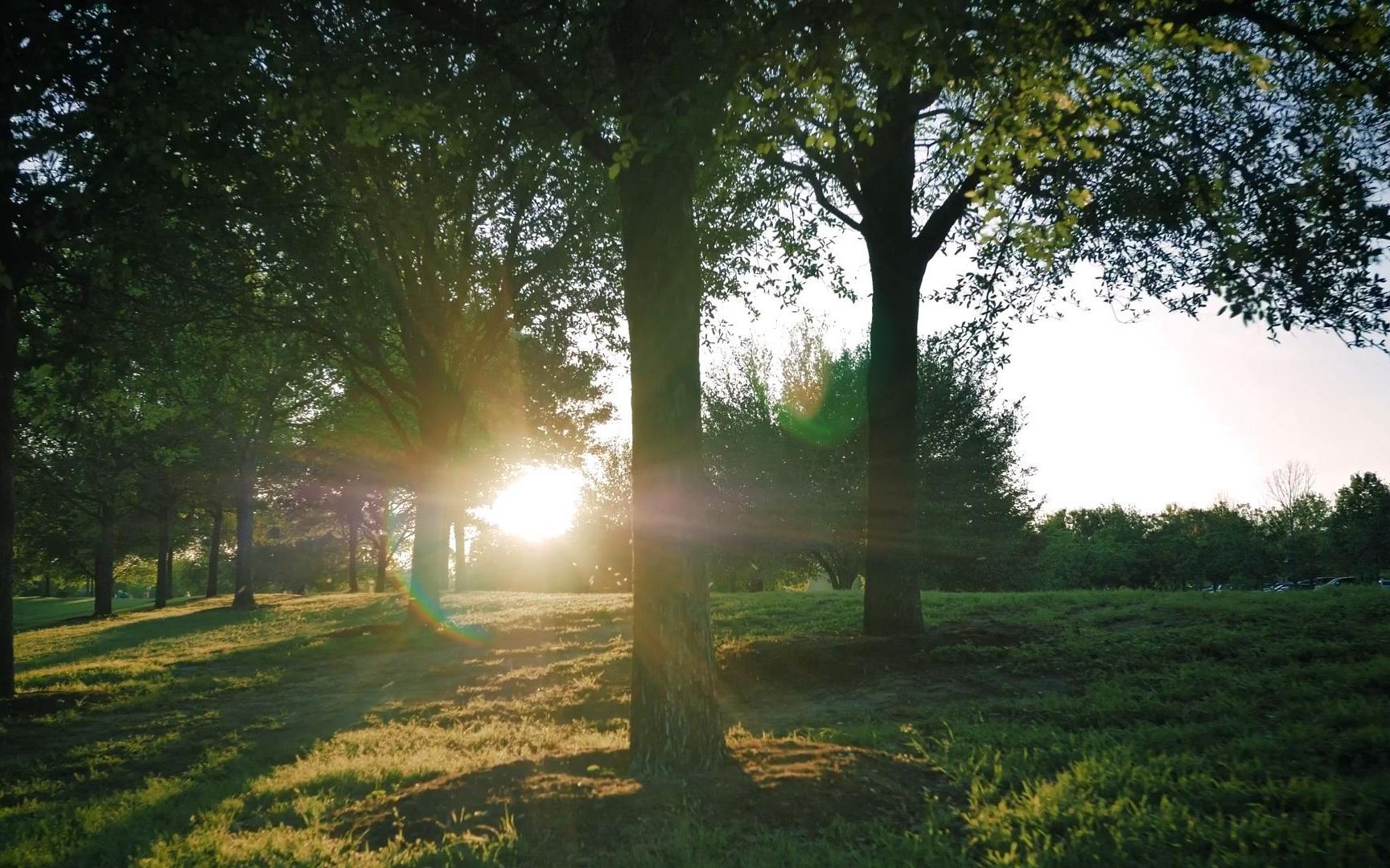 空镜头阳光穿过树林草地