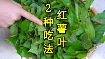 Download Video: 夏天没胃口多吃红薯叶，教你2种吃法，清香脆嫩，简单好吃又下饭