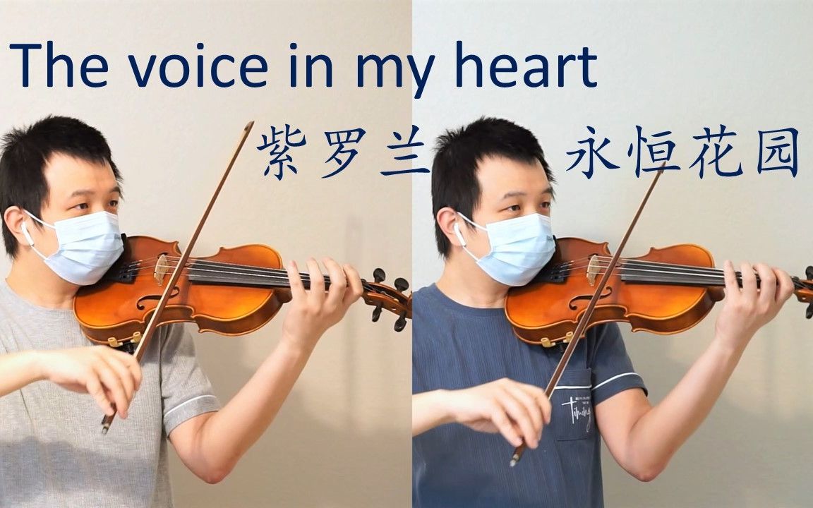 [图]【小提琴】The voice in my heart - 紫罗兰永恒花园