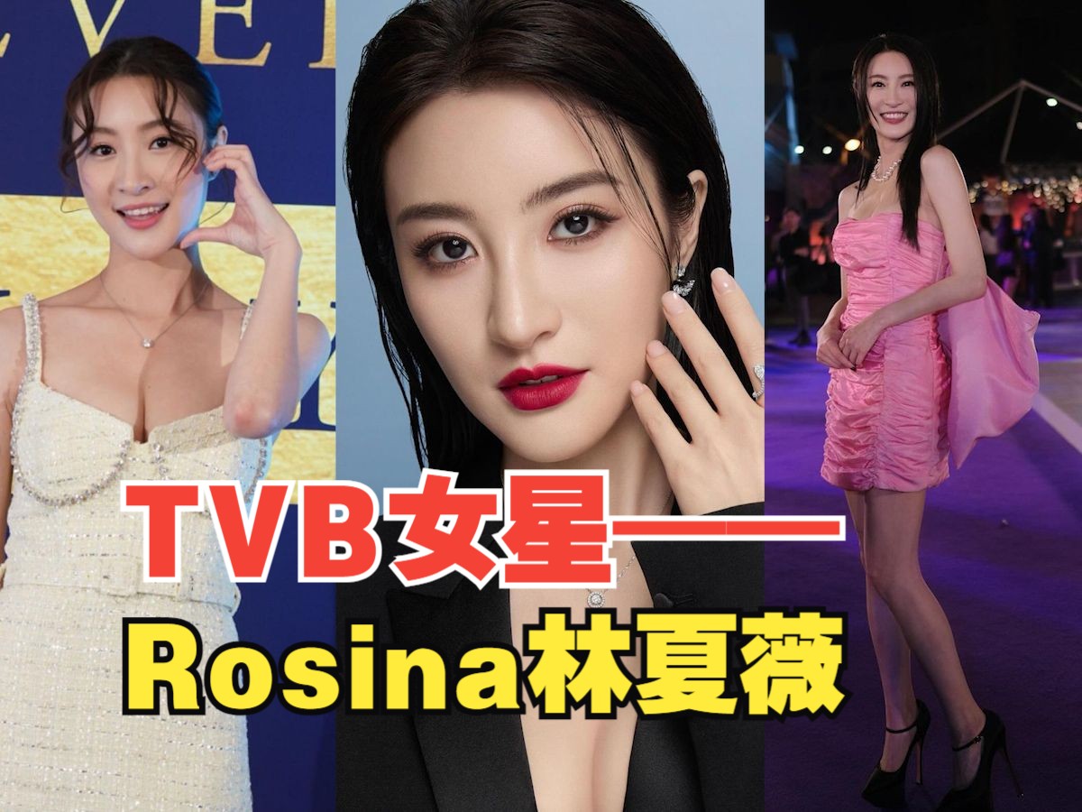 Rosina林夏薇参演的TVB剧集作品集哔哩哔哩bilibili