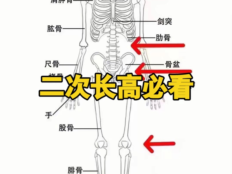 二次长高5到10厘米方法哔哩哔哩bilibili