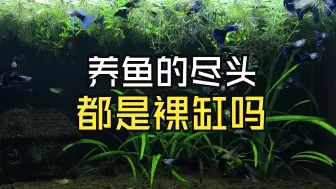 观赏鱼缸的尽头都是裸缸吗