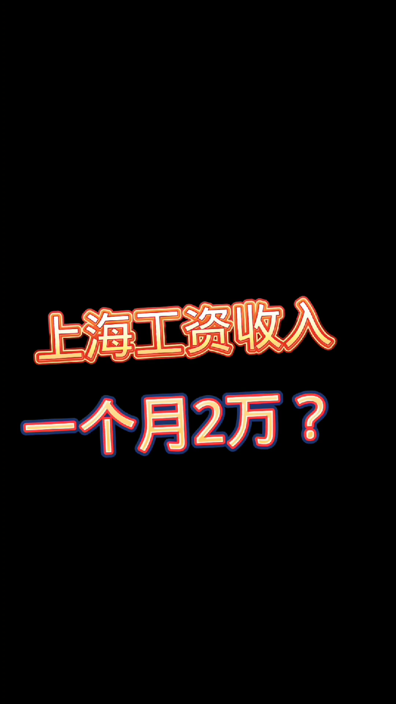 上海工资收入一个月2万?薅羊毛占比多少?生活分享!哔哩哔哩bilibili